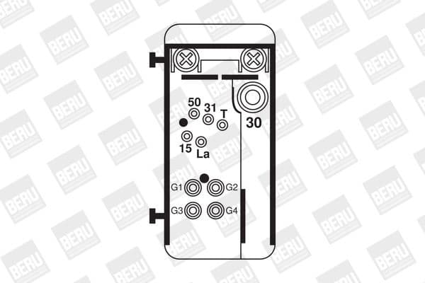 GR 074 (BorgWarner (BERU)) - image 2