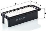 Air Filter C26036