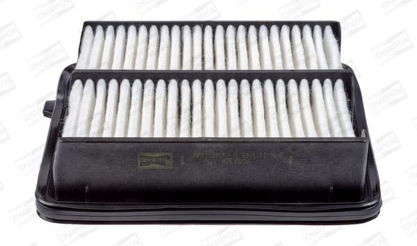 Air Filter CAF101051P