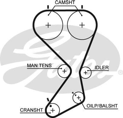 Timing Belt PowerGrip™ 5556XS