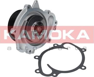 Water Pump, engine cooling T0191