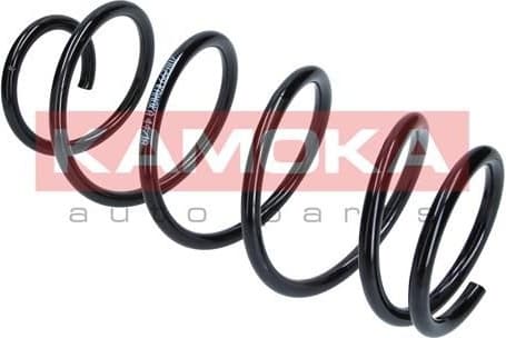 Coil spring 2110299