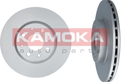 Brake Disc 1031042