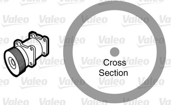 Gasket, coolant pipe 509176