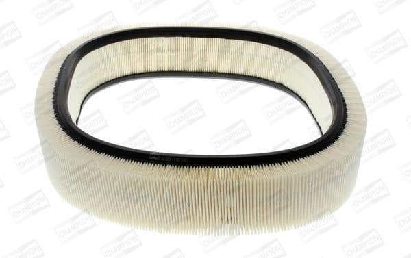 Air Filter CAF100229R