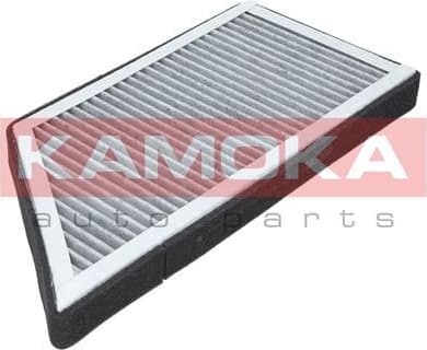 Filter, cabin air F501601 - image 3