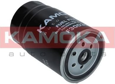 Fuel Filter F300301 - image 4
