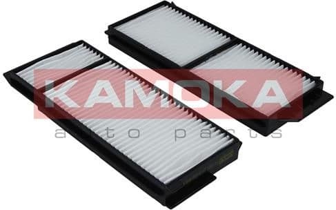 Filter, cabin air F411801 - image 2