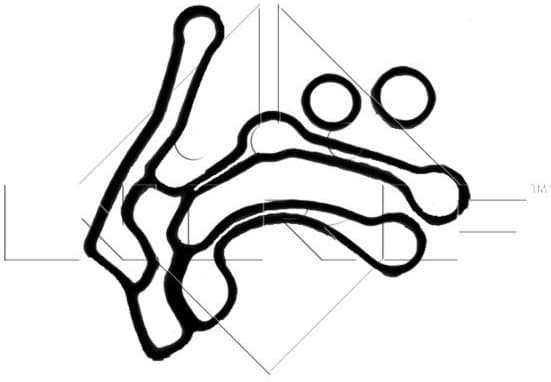 Oil Cooler, engine oil EASY FIT 31258 - image 2