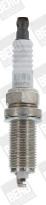 Z 273 (BorgWarner (BERU))