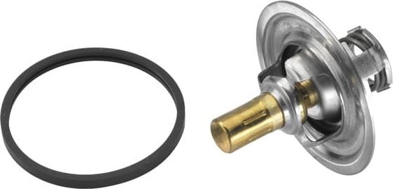 termostatas, aušinimo skystis - image 3