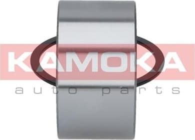 Wheel Bearing Kit 5600029 - image 4