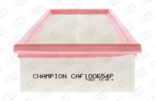 Air Filter CAF100654P