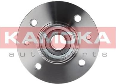 Wheel Bearing Kit 5500008