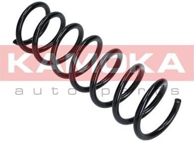 Coil spring 2120162 - image 4