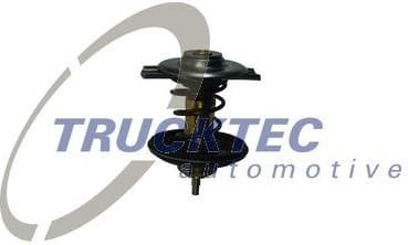 Thermostat 02.19.239