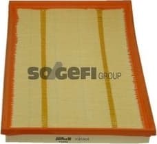 Air Filter A1489