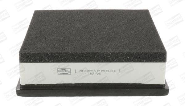 Air Filter CAF100767P