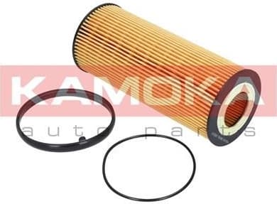 Oil Filter F110601