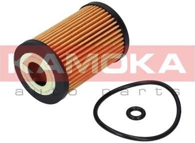 Oil Filter F108701