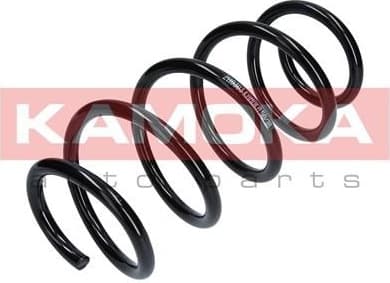 Coil spring 2110303