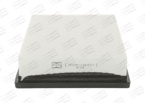 Air Filter CAF100729P