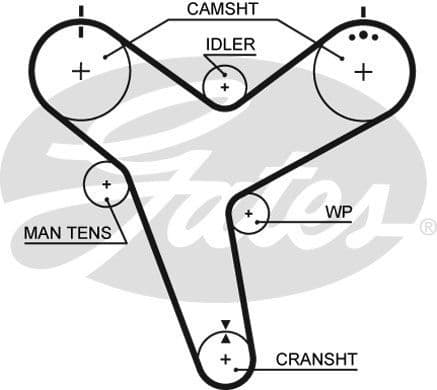 Timing Belt PowerGrip™ 5380XS - image 2