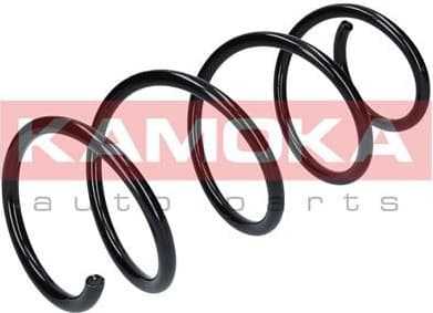 Coil spring 2110225