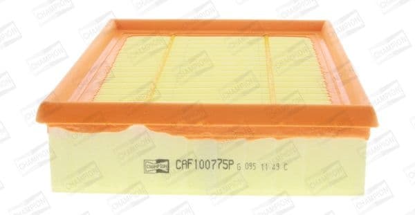Air Filter CAF100775P