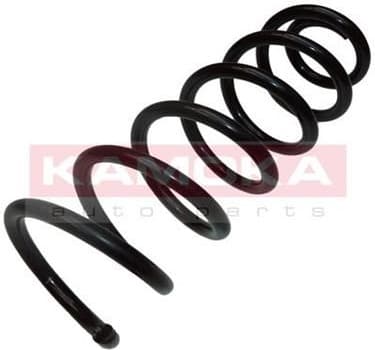 Suspension Spring 2120202