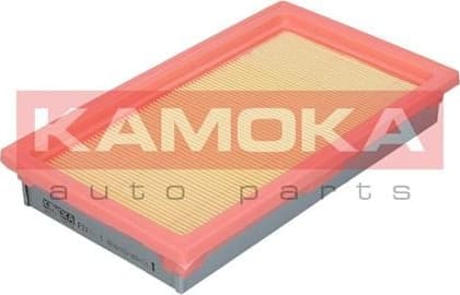Air Filter F211901