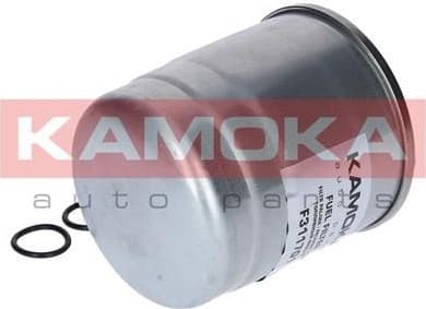 Fuel Filter F311701 - image 3