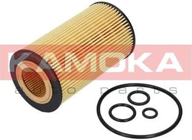 Oil Filter F105401
