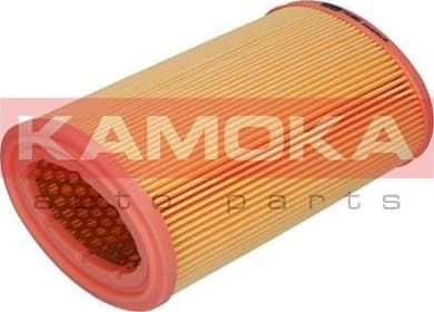 Air Filter F213801