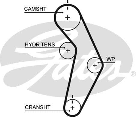 Timing Belt PowerGrip™ T245