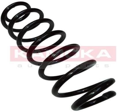Coil spring 2120245