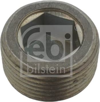 Screw Plug, oil sump 38179