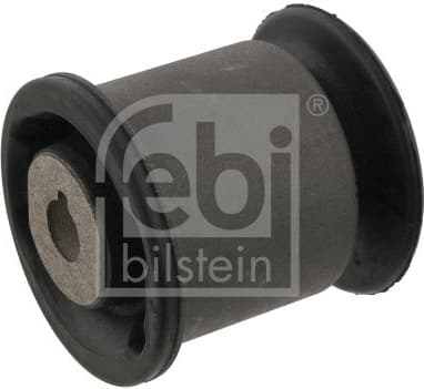 Mounting, control/trailing arm 31791