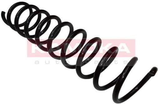 Coil spring 2120234