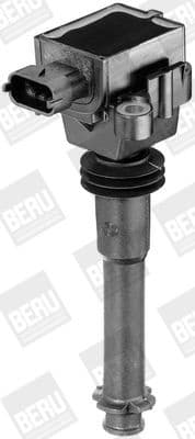 ZS 311 (BorgWarner (BERU)) - image 3