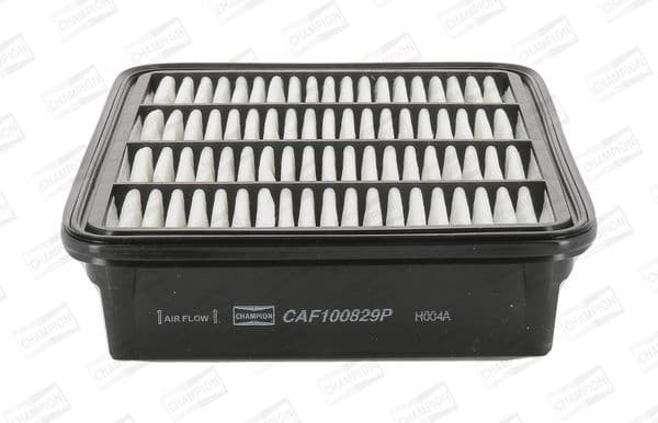 Air Filter CAF100829P
