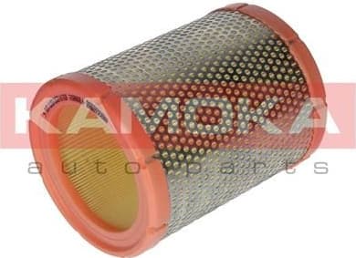 Air Filter F213701
