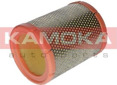 Air Filter F213701 - image 3