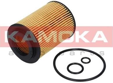 Filter oil F111901