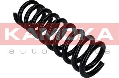 Coil spring 2110336