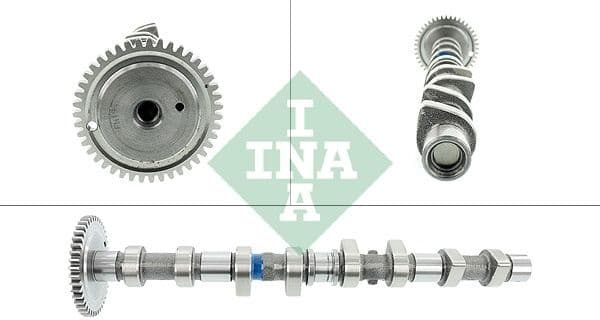 Camshaft 428009210