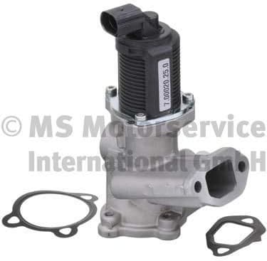 EGR Valve 7.00020.25.0