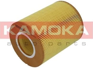 Air Filter F236501