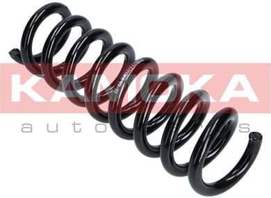 Coil spring 2120179 - image 2