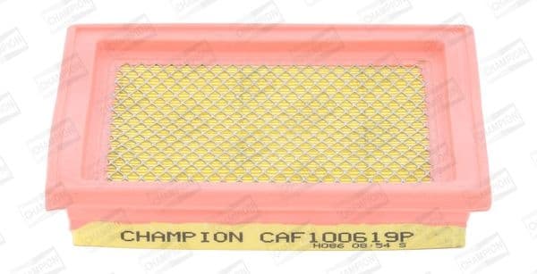 Air Filter CAF100619P